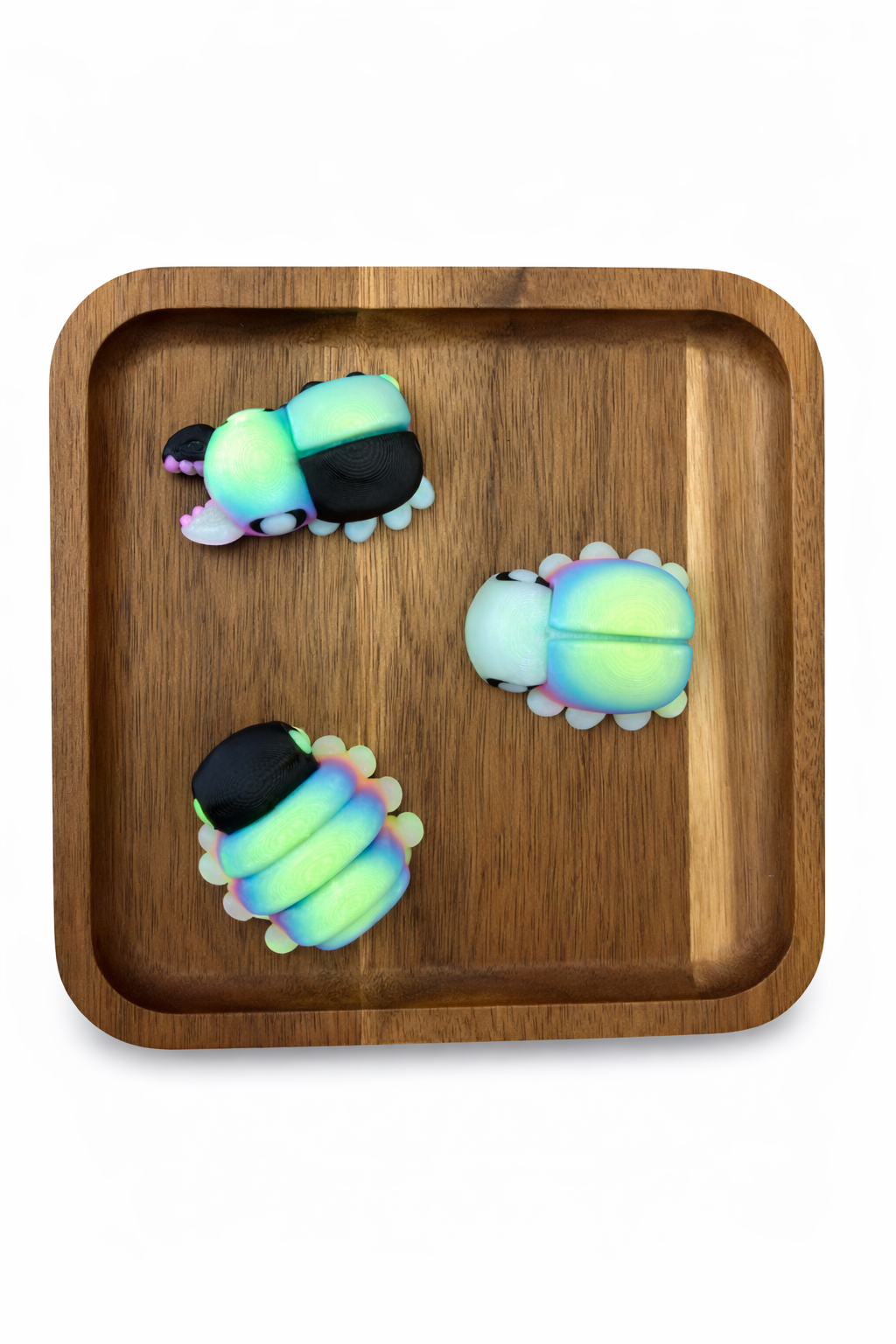 Glow-In-The-Dark Articulated Bug Display