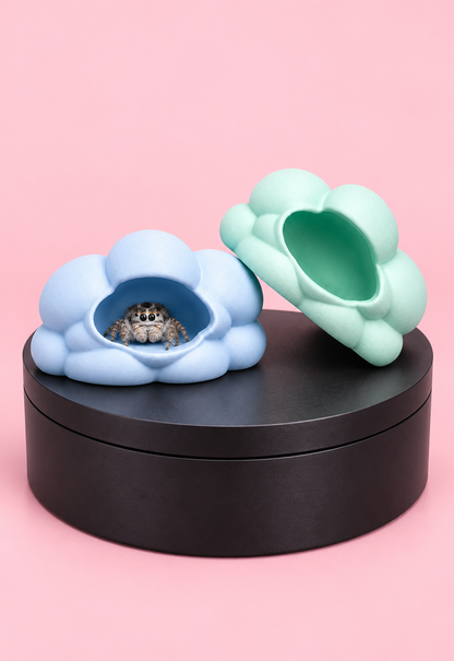 ☁️💕 Magnetic Cloud Jumping Spider Hide | Cute 3D Printed Enclosure Accessory
