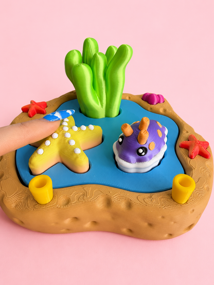 Under the Sea Fidget Clicker Playset🌊🐚